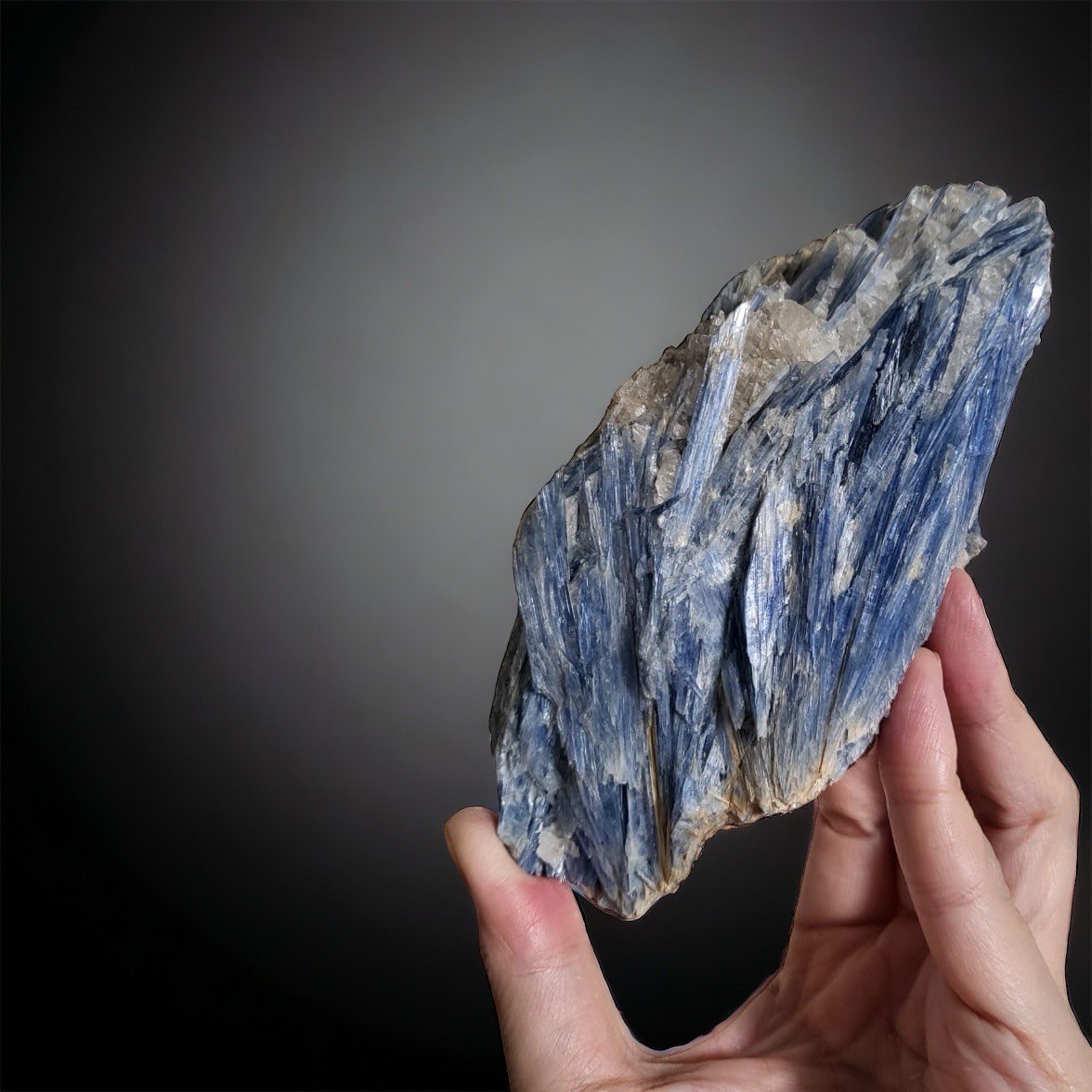 Kyanite (23-KB-01)