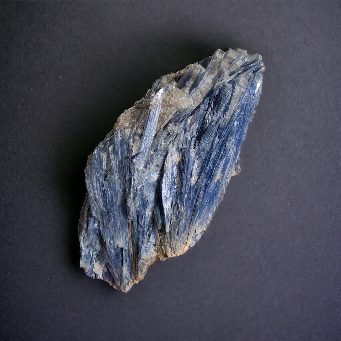 Kyanite (23-KB-01)